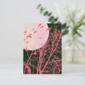 Stumpfvögel Postkarte (Stehend Vorderseite)