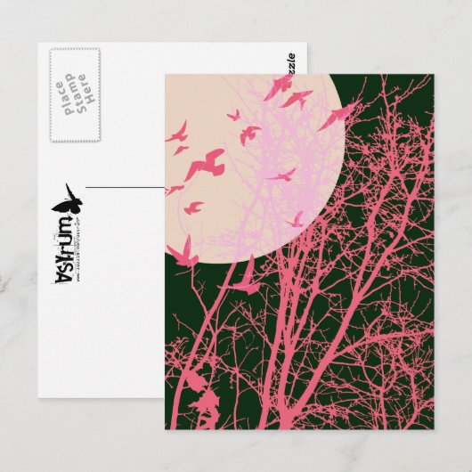 Stumpfvögel Postkarte (Vorne/Hinten)