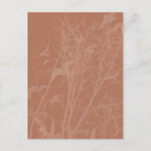 Stumpfvögel Postkarte (Vorderseite)