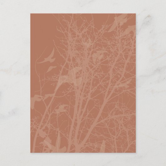 Stumpfvögel Postkarte (Vorderseite)