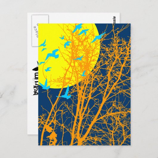 Stumpfvögel Postkarte (Vorne/Hinten)