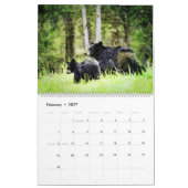 Stunning Bear Wildlife Watercolor Paintings Art Ca Kalender (Feb 2027)