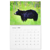 Stunning Bear Wildlife Watercolor Paintings Art Ca Kalender (Jan 2026)