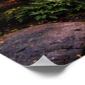 Stunning Japanese Garden & Koi Pond Poster (Ecke)