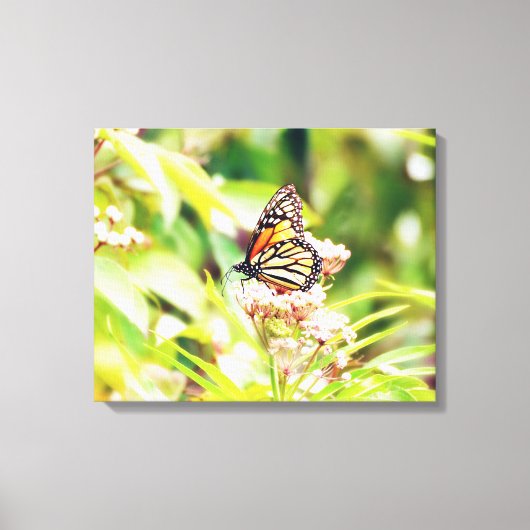 Stunning Nature & Butterfly Art Foam Board Leinwanddruck (Vorderseite)