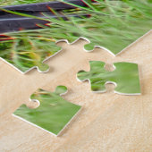 Stunning Northern Flicker Foraging in the Grass Puzzle (Seite)