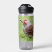 Stunning Northern Flicker Foraging in the Grass Trinkflasche (Vorderseite)