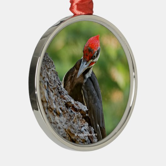 Stunning Portrait of Pileated Woodpecker on Tree Ornament Aus Metall (Rechts)
