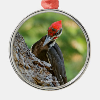 Stunning Portrait of Pileated Woodpecker on Tree Ornament Aus Metall