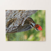 Stunning Portrait of Pileated Woodpecker on Tree Puzzle (Horizontal)