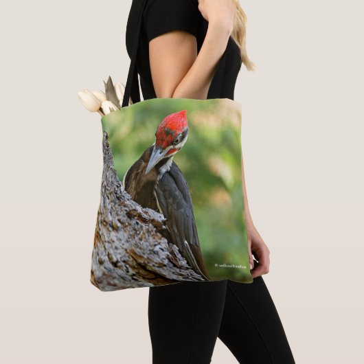 Stunning Portrait of Pileated Woodpecker on Tree Tasche (Von Nahem)