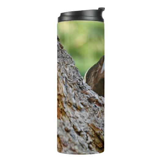 Stunning Portrait of Pileated Woodpecker on Tree Thermosbecher (Nach links gedreht)