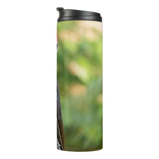 Stunning Portrait of Pileated Woodpecker on Tree Thermosbecher (Nach rechts gedreht)