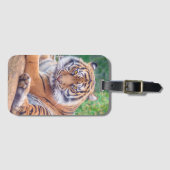 Stunning Reclining Tiger Photograph Gepäckanhänger (Vorderseite (Horizontal))