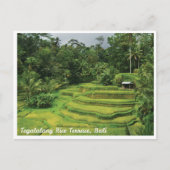 Stunning rice fields in Bali - Travel Postcard Postkarte (Vorderseite)