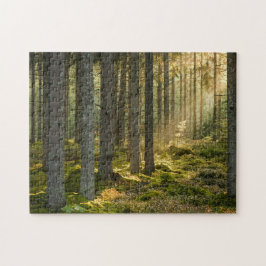 Stunning Scenes 11"x 14" Puzzle