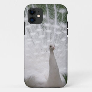 Stunning white Peacock (Peafowl) full plume iPhone 11 Hülle