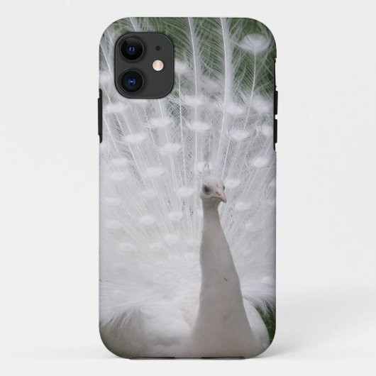 Stunning white Peacock (Peafowl) full plume Case-Mate iPhone Hülle (Rückseite)