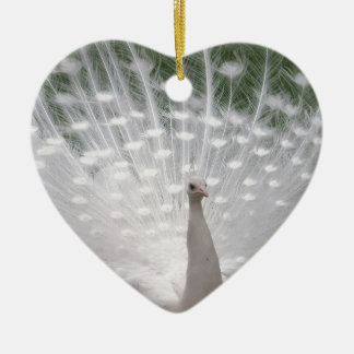 Stunning white Peacock (Peafowl) full plume Keramikornament