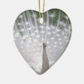 Stunning white Peacock (Peafowl) full plume Keramikornament (Links)