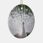 Stunning white Peacock (Peafowl) full plume Keramikornament (Rechts)
