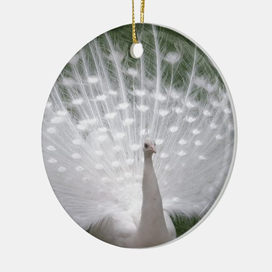 Stunning white Peacock (Peafowl) full plume Keramikornament (Links)