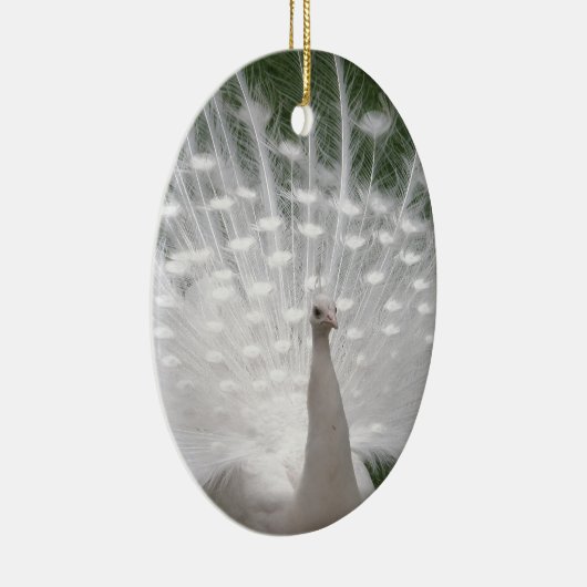 Stunning white Peacock (Peafowl) full plume Keramikornament (Rechts)