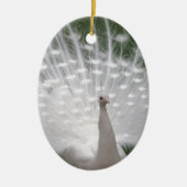 Stunning white Peacock (Peafowl) full plume Keramikornament (Vorne)