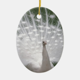 Stunning white Peacock (Peafowl) full plume Keramikornament