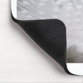 Stunning white Peacock (Peafowl) full plume Mousepad (Ecke)