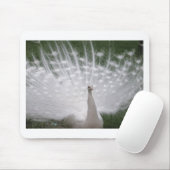 Stunning white Peacock (Peafowl) full plume Mousepad (Mit Mouse)