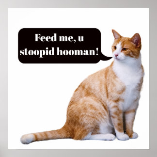 Stupid Hooman Hungerfestungen Poster