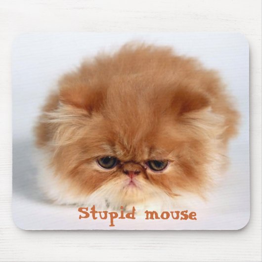 Stupid Mouse Mousepad (Vorne)