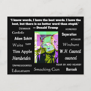 Stupid Things Trump hat gesagt oder geschrieben Postkarte