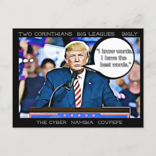 Stupid Things Trump hat Postcard Souvenir gesagt Postkarte