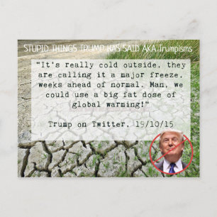 Stupid Things Trump hat Postcard Souvenir gesagt Postkarte