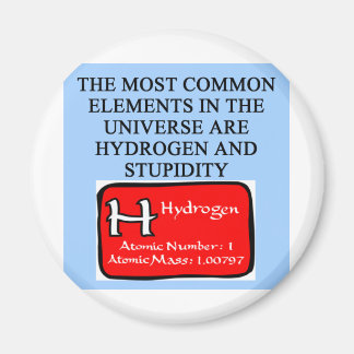 STUPIDITÄT MAGNET