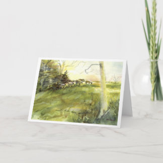 Sturbridge Dorf-Schafe Feiertagskarte