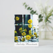 Sturbridge, Massachusetts Postkarte (Stehend Vorderseite)