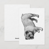 Sturdy Dot Welcome Einladung (Vorne/Hinten)