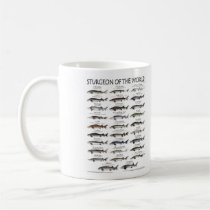 Sturgeon der Tasse