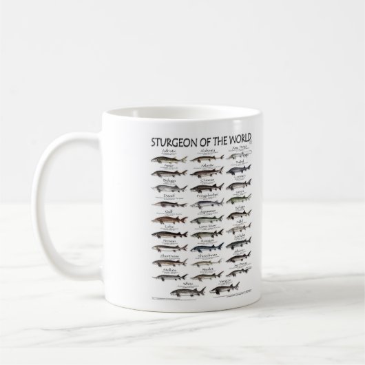 Sturgeon der Tasse (Links)