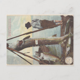 Sturgeon & Lachs Fangkarte Postkarte