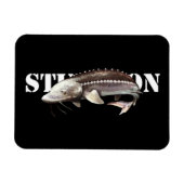 Sturgeon Magnet (Horizontal)