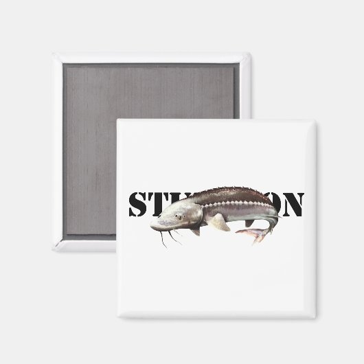 Sturgeon Magnet (Vorderseite/Rückseite)