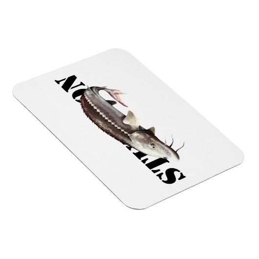 Sturgeon Magnet (Rechte Seite)