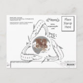 Sturgeon Postcard - StereoType Russland Postkarte (Rückseite)