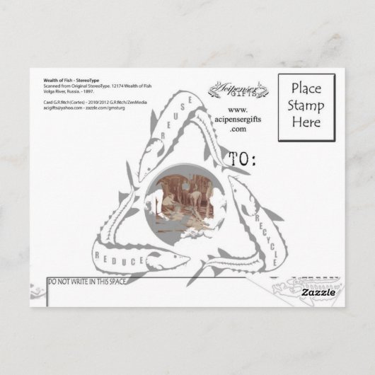 Sturgeon Postcard - StereoType Russland Postkarte (Rückseite)