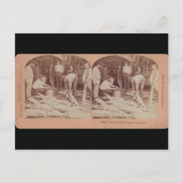 Sturgeon Postcard - StereoType Russland Postkarte