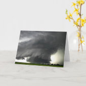 STURM 7 KARTE (Gelbe Blume)